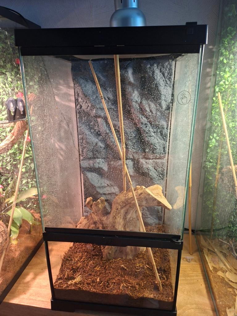 Paludarium, Dieren en Toebehoren, Reptielen en Amfibieën | Toebehoren, Ophalen