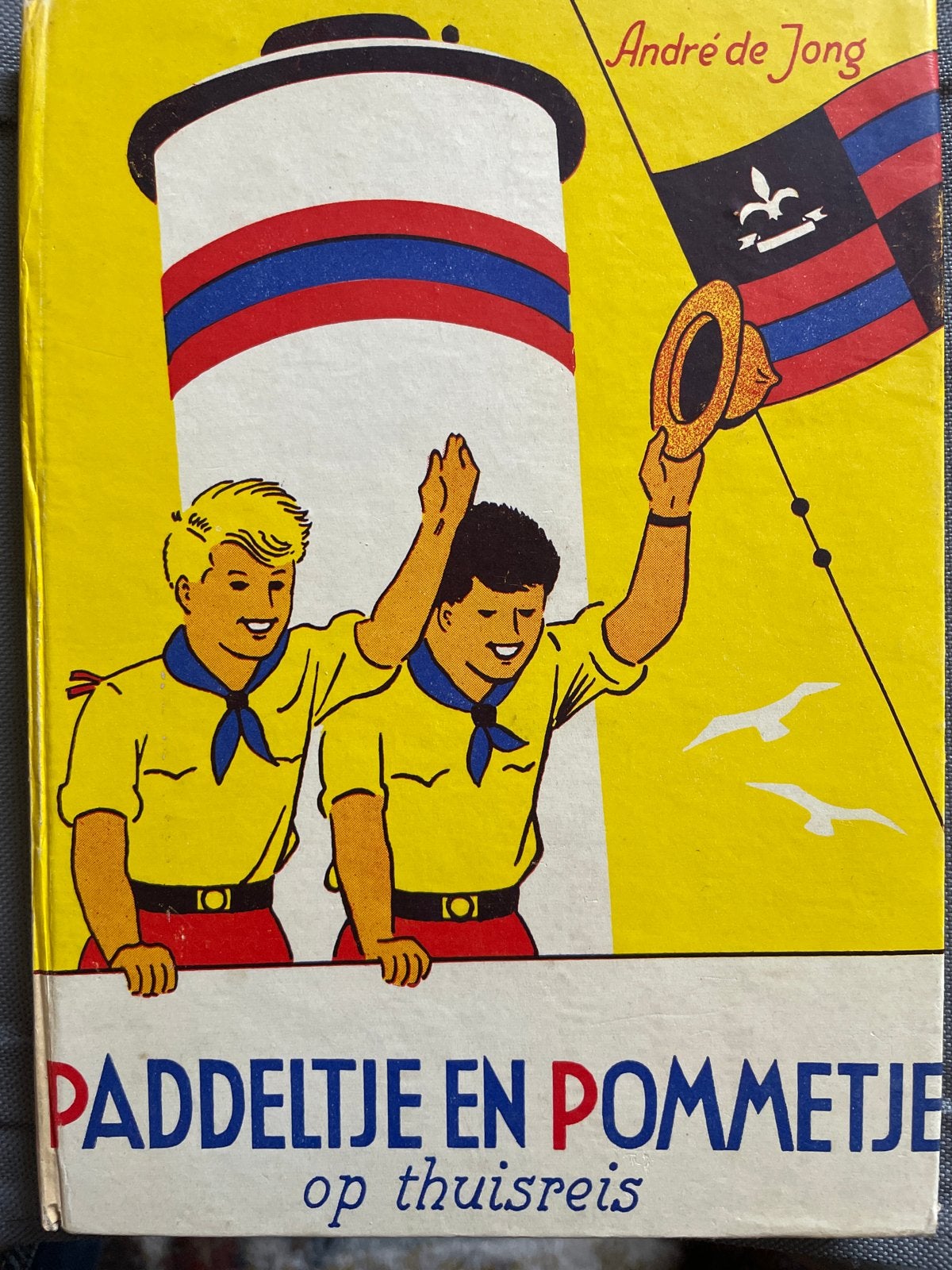 Paddeltje en Pommetje op thuisreis - André de Jong, Ophalen, Gelezen, Fictie algemeen