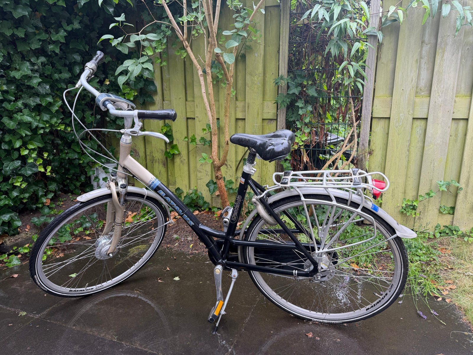 Batavus Crescendo Damesfiets - Framehoogte 53 cm, Fietsen en Brommers, Fietsen | Dames | Damesfietsen, Ophalen, Gebruikt, Velgrem