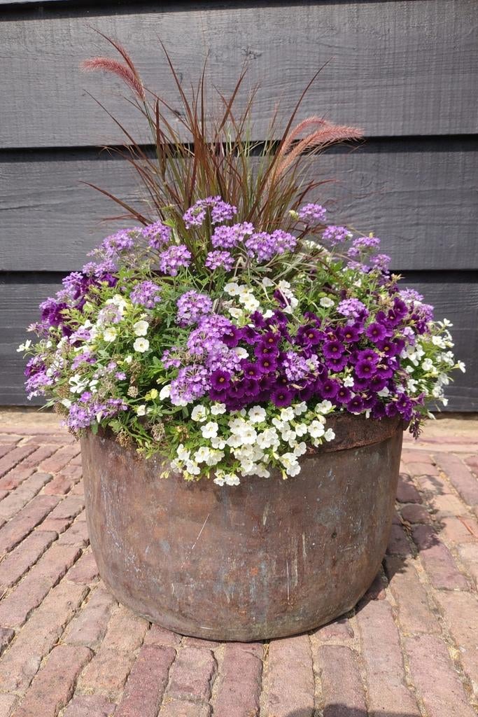 Oude koperen ketel / bloempot met oren, Antiek en Kunst, Antiek | Koper en Brons, Ophalen