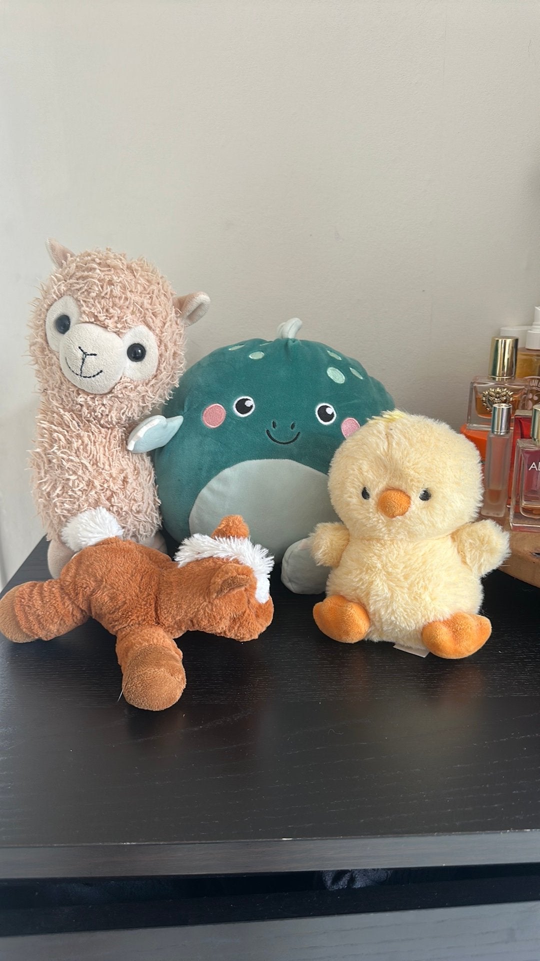 Diverse knuffels, Ophalen of Verzenden, Zo goed als nieuw, Overige typen