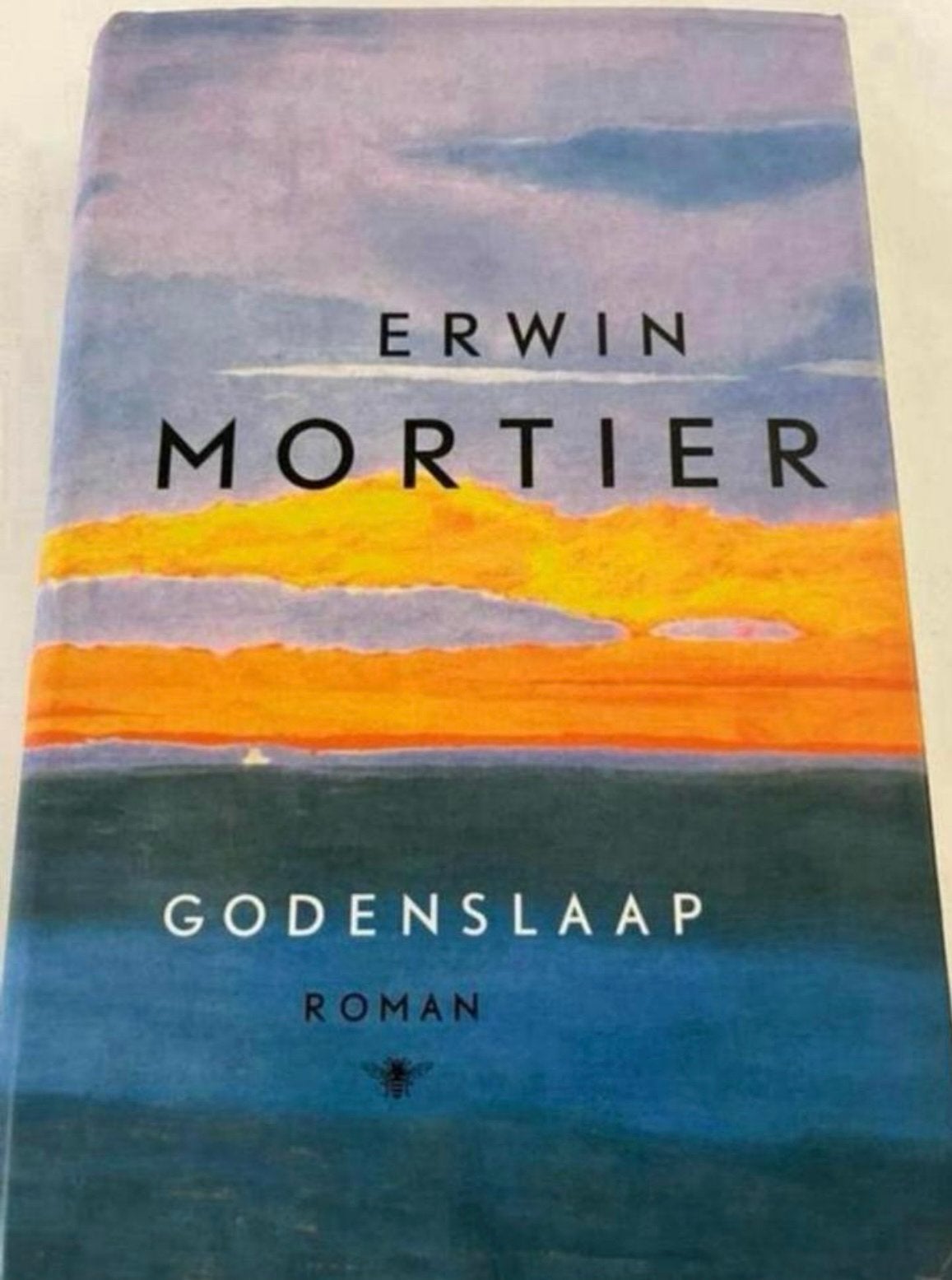 ERWIN MORTIER GODENSLAAP ROMAN, Ophalen of Verzenden, Zo goed als nieuw