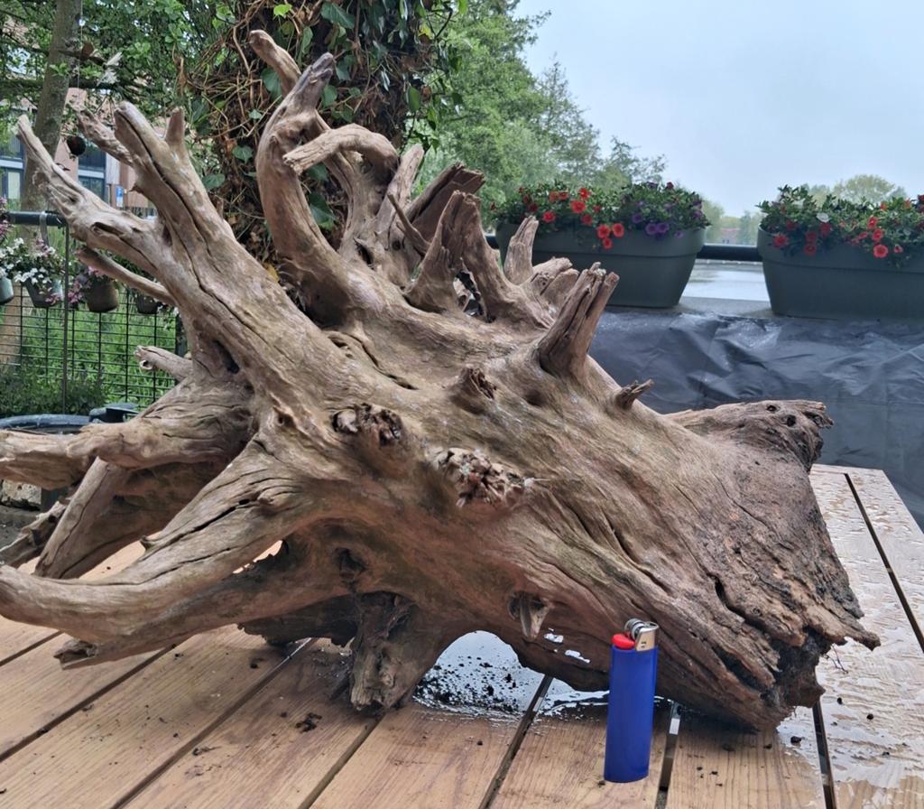 Prachtig stuk Grillig kienhout !, Dieren en Toebehoren, Ophalen, Gebruikt, Plant(en), Steen of Hout
