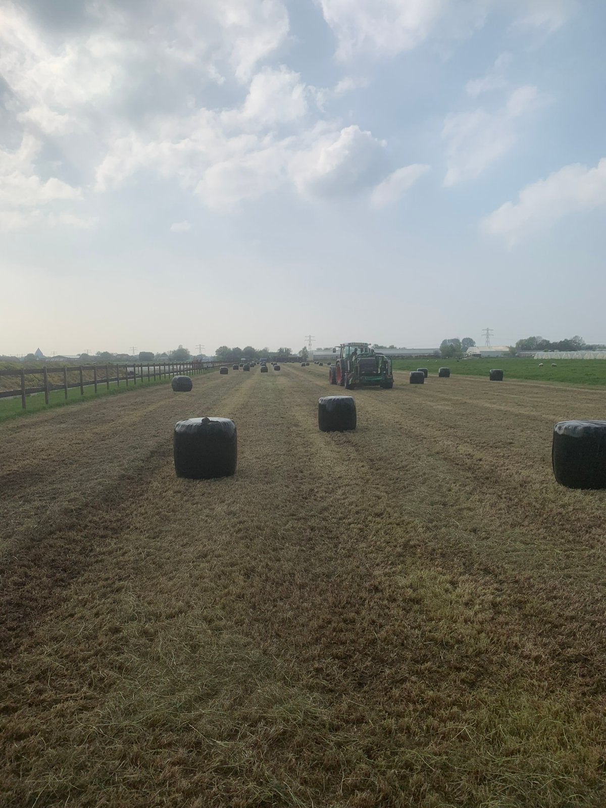 Midibalen hooi te koop, Dieren en Toebehoren, Ophalen of Verzenden