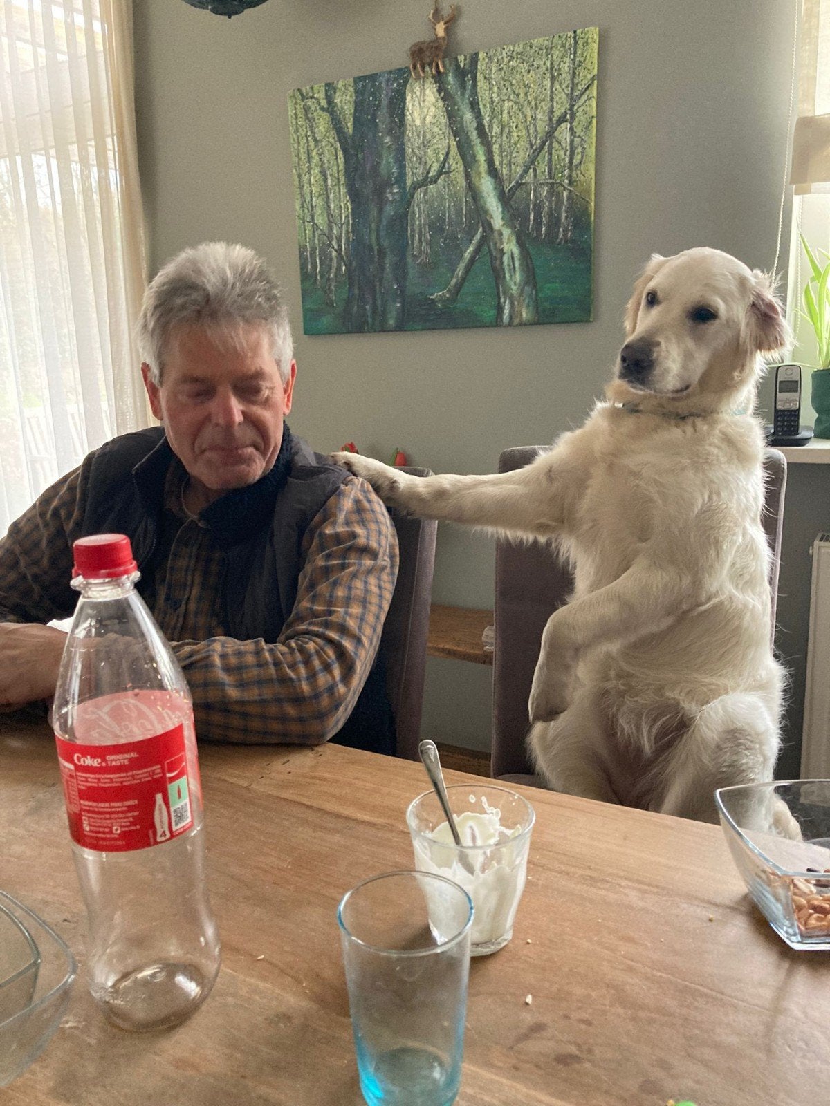 Hond zegt: "Maak je niet druk",ik zal het ze wel vertellen!, Caravans en Kamperen, Caravans, Standaardzit, Bedrijf, Dwarsbed, 500 - 750 kg