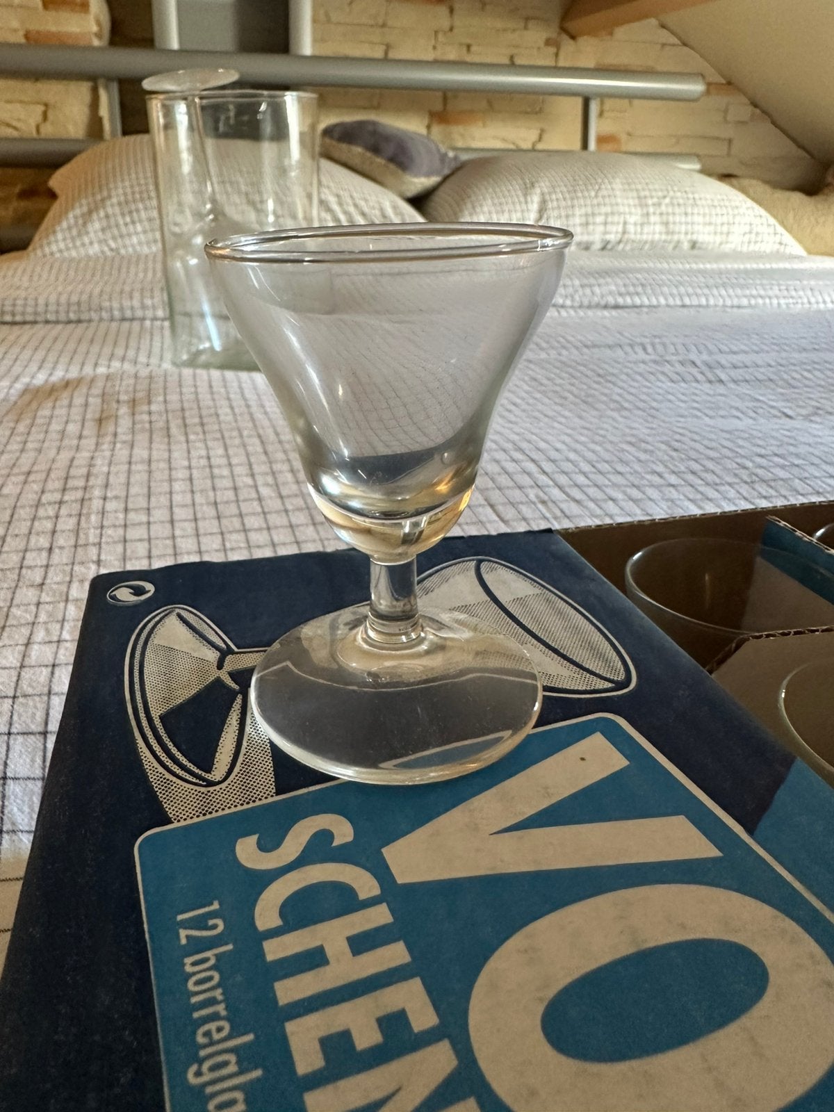 12 Borrelglaasjes Nieuw, Verzamelen, Ophalen of Verzenden, Nieuw, Borrel- of Shotglas