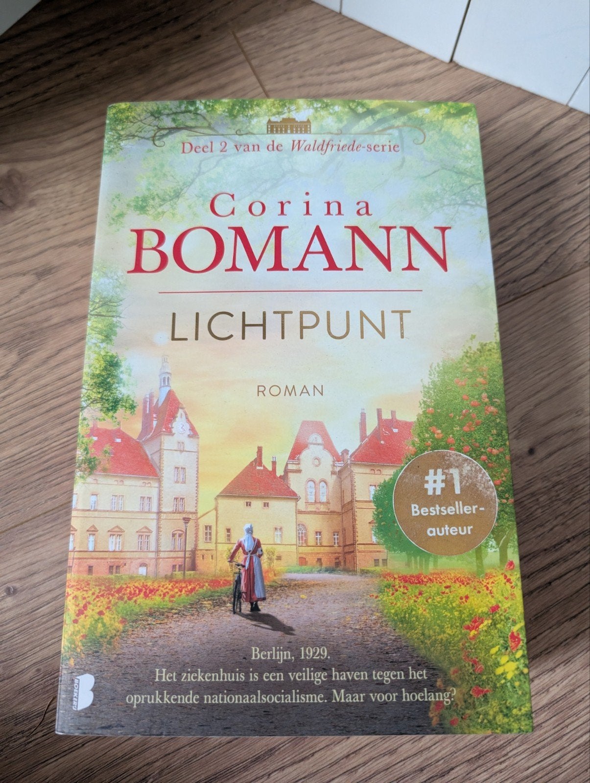 Lichtpunt - Corina Bomann (Deel 2 Waldfriede-serie), Boeken, Romans, Ophalen of Verzenden, Zo goed als nieuw, Corina Bomann, Europa overig