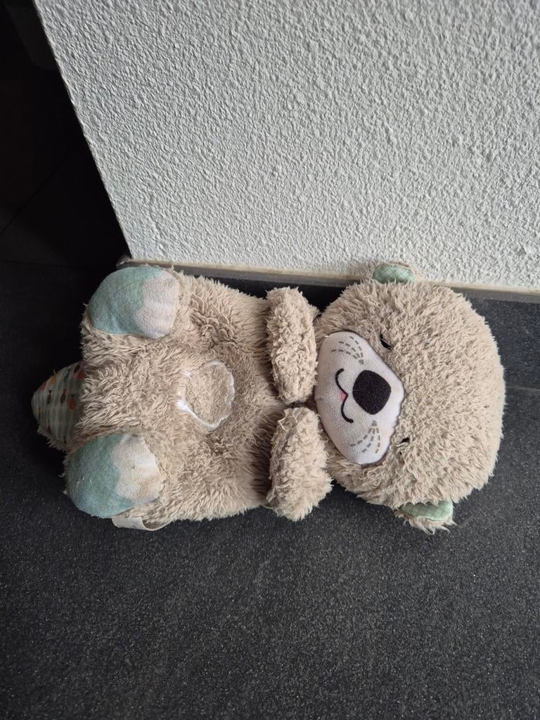 Bedtijd Otter, Ophalen of Verzenden, Overige typen