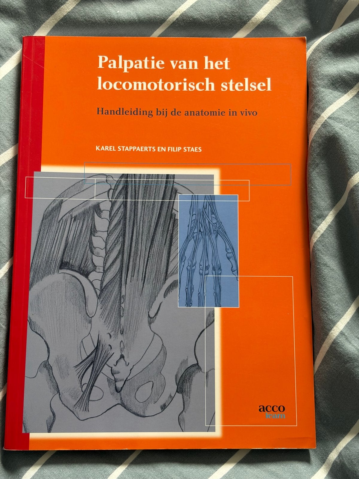 Palpatie van het locomotorisch stelsel - Anatomie in vivo, Boeken, Ophalen, Beta, Gelezen, HBO