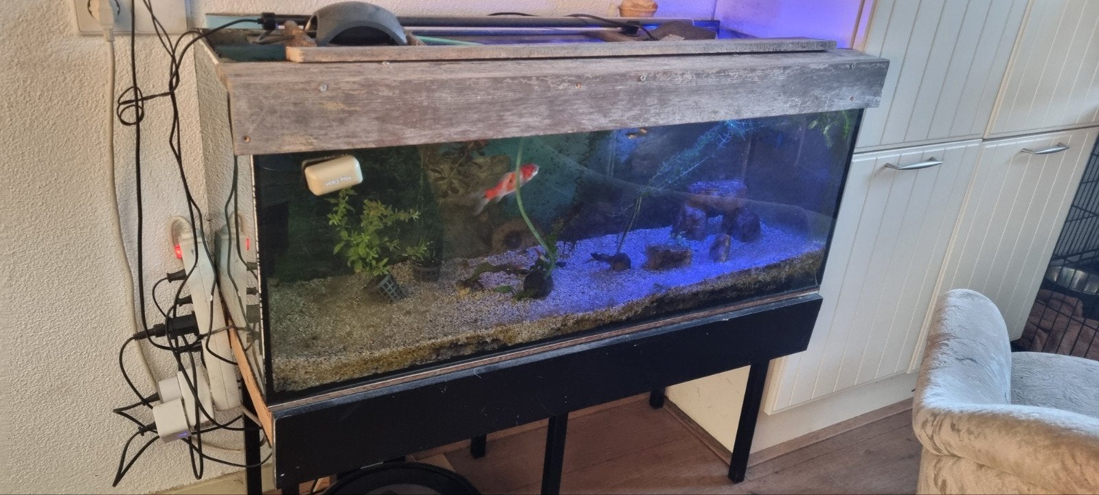 Vissenkom 100x40x40, Ophalen