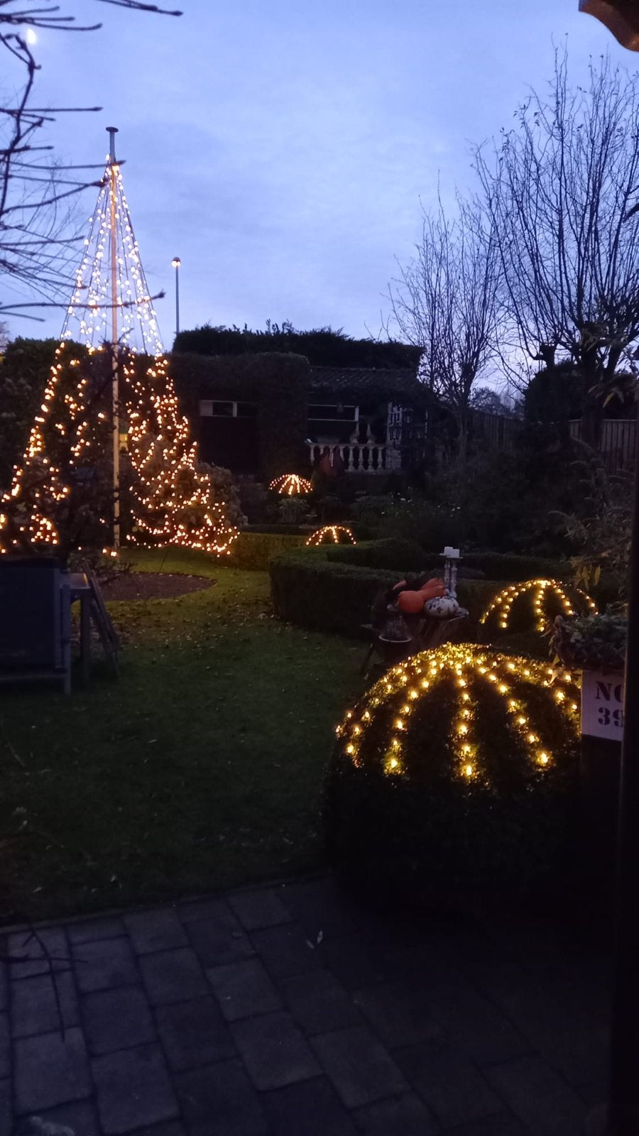 Kerstboom met verlichting. 6 meter hoog, Ophalen