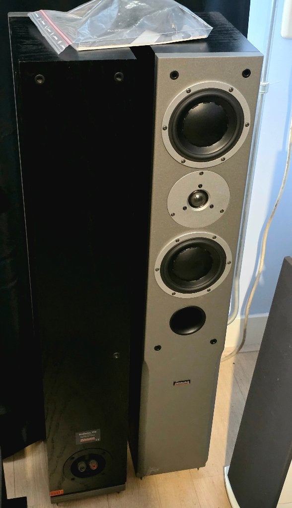 Dynaudio Audience 122 boekje,plugs,spikes 12m Esoteric kabel