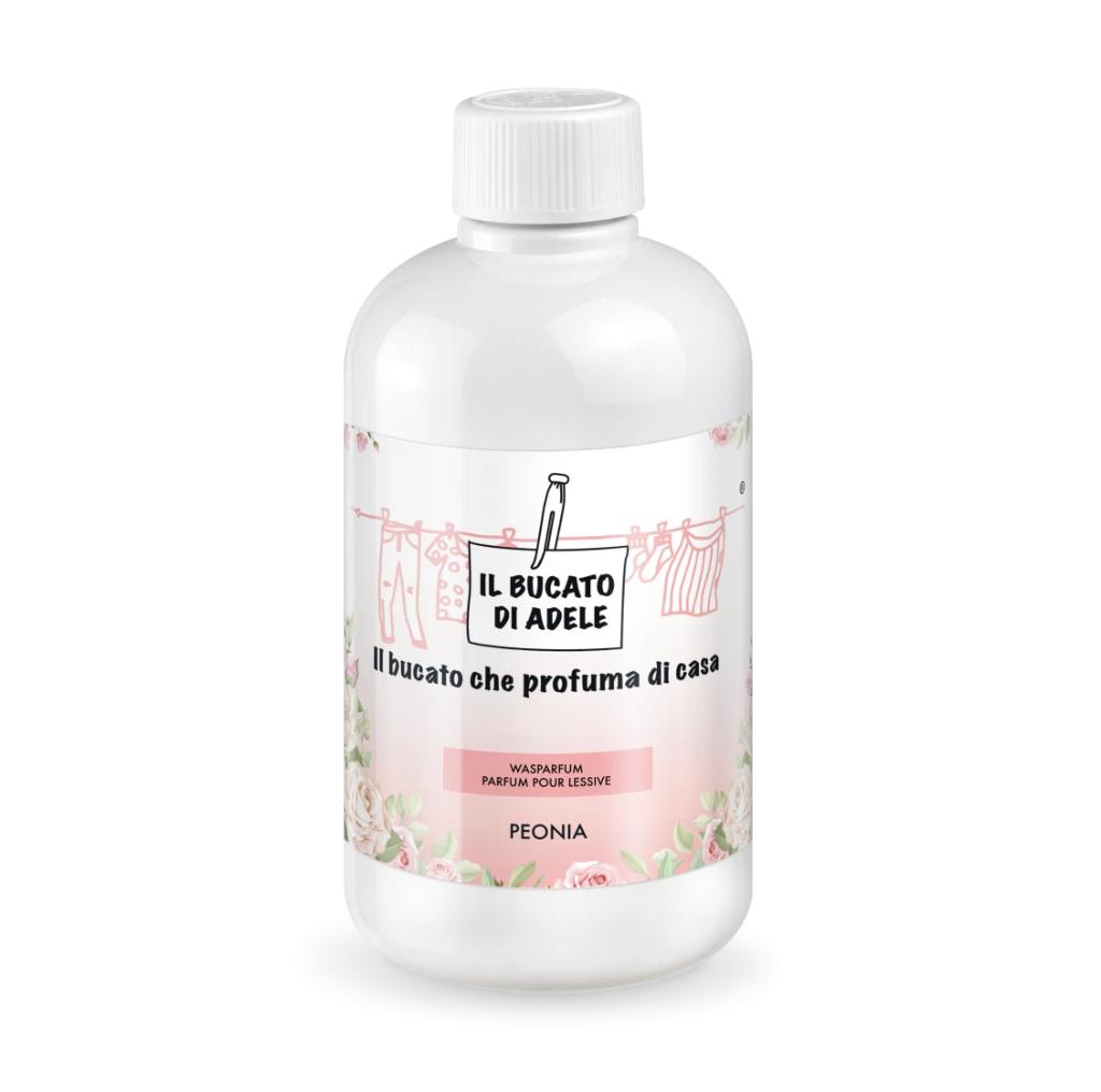 Peonia wasparfum, Il bucato, Eygelshoven, Ophalen of Verzenden, Raamwisser of Trekker