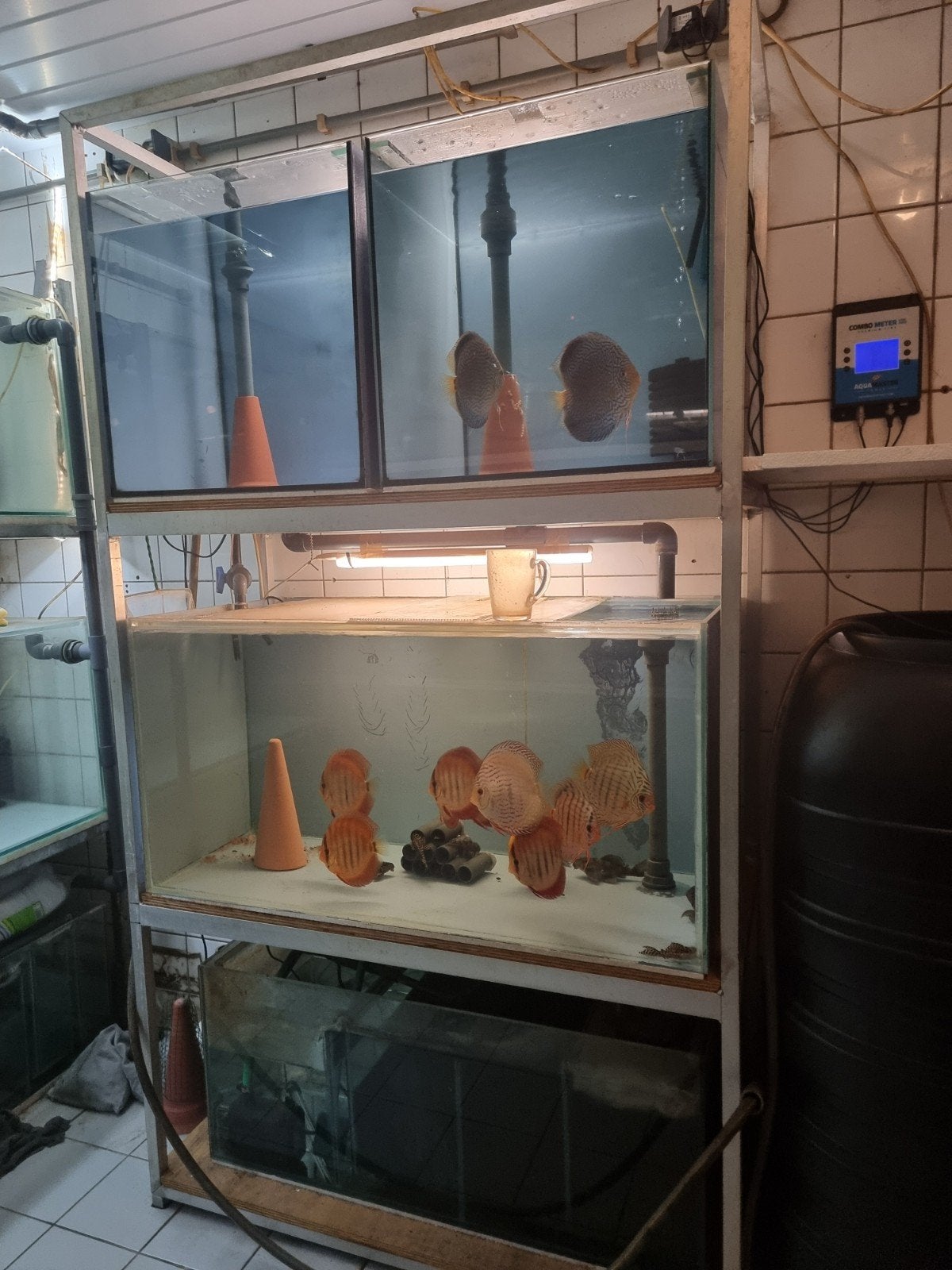 mooie aquarium stelling, Ophalen, Zo goed als nieuw, Leeg aquarium