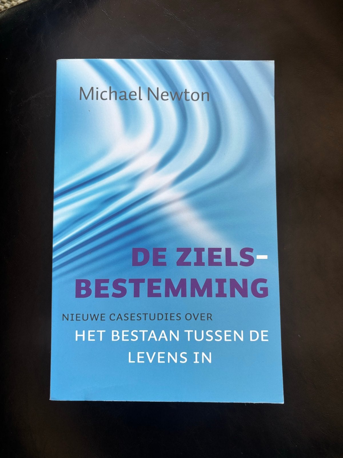 De Zielbestemming - Michael Newton, Ophalen of Verzenden, Zo goed als nieuw, Ziel of Sterfelijkheid, Achtergrond en Informatie