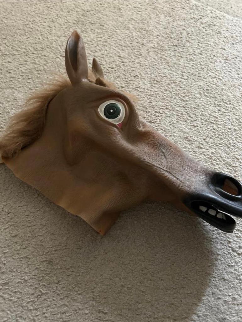 Paardenmasker - Realistisch en Grappig, Ophalen of Verzenden, Zo goed als nieuw, Accessoires