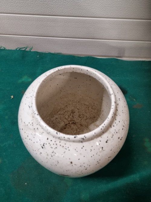 vaas wit gespikkeld royal, Antiek en Kunst, Ophalen of Verzenden