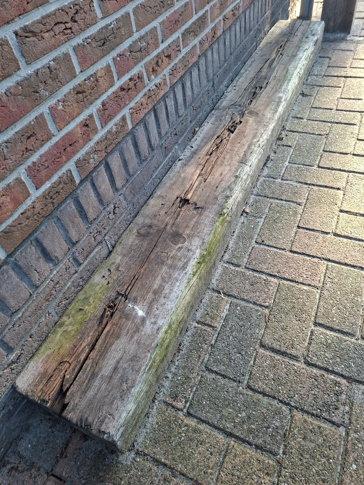 Bielzen, Ophalen, Gebruikt, 200 tot 250 cm, 50 mm of meer