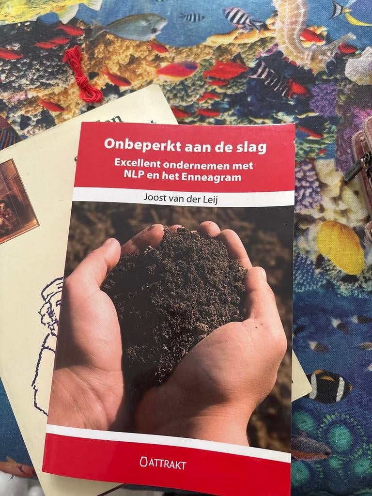 Onbeperkt aan de slag: Excellent ondernemen met NLP, Boeken, Ophalen of Verzenden, Zo goed als nieuw, Management