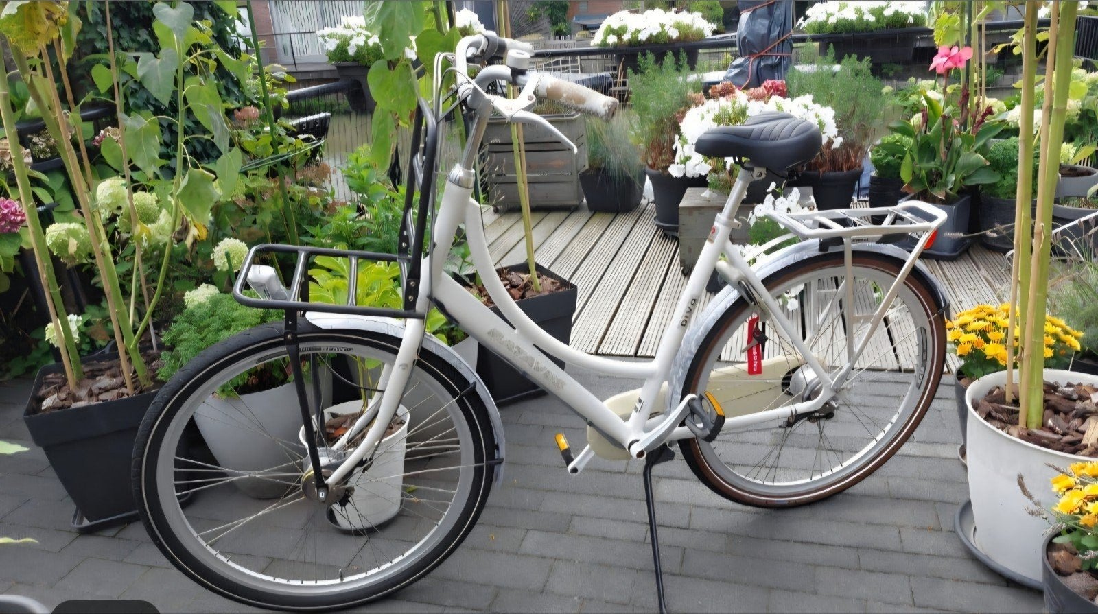 Batavus Diva Glamorous damesfiets 56 7 versnelling omafiets, Ophalen, Gebruikt, Versnellingen, Batavus