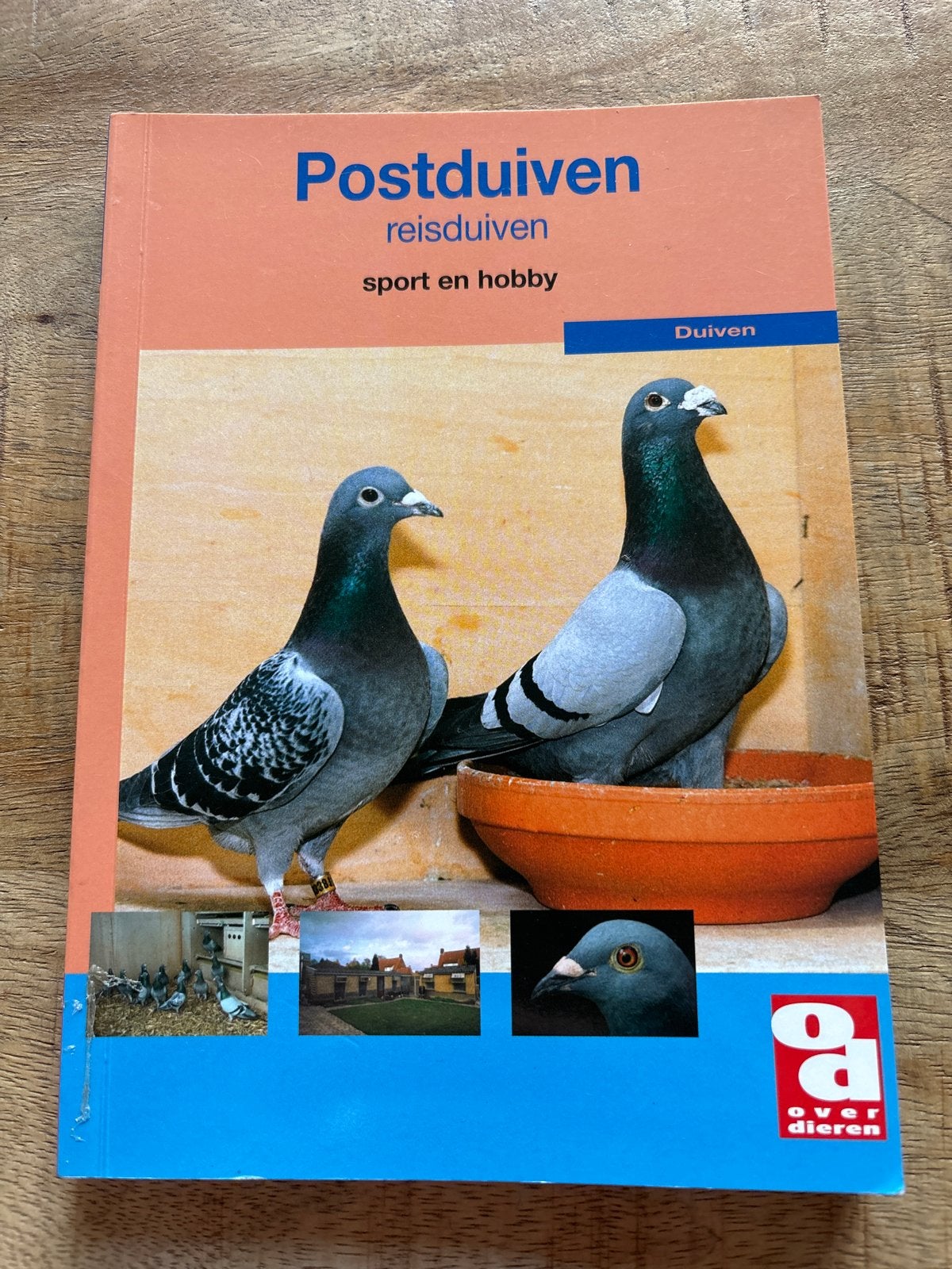 T. Ebben - De postduif, Ophalen of Verzenden, Zo goed als nieuw, T. Ebben; F. Ebben, Paarden of Pony's