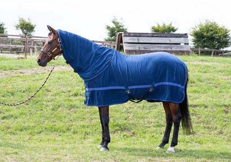 Harry's Horse fleecedeken met oprolbare hals nieuw, Ophalen of Verzenden, Nieuw, Deken, Harry's Horse