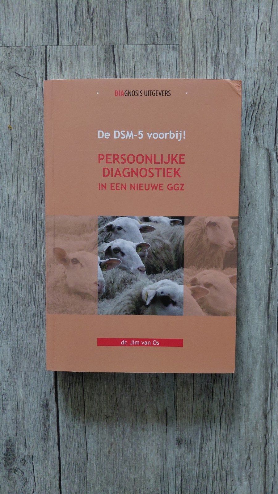 De DSM-5 voorbij! - Jim van Os, Boeken, Ophalen of Verzenden, Gelezen, Klinische psychologie, Jim van Os