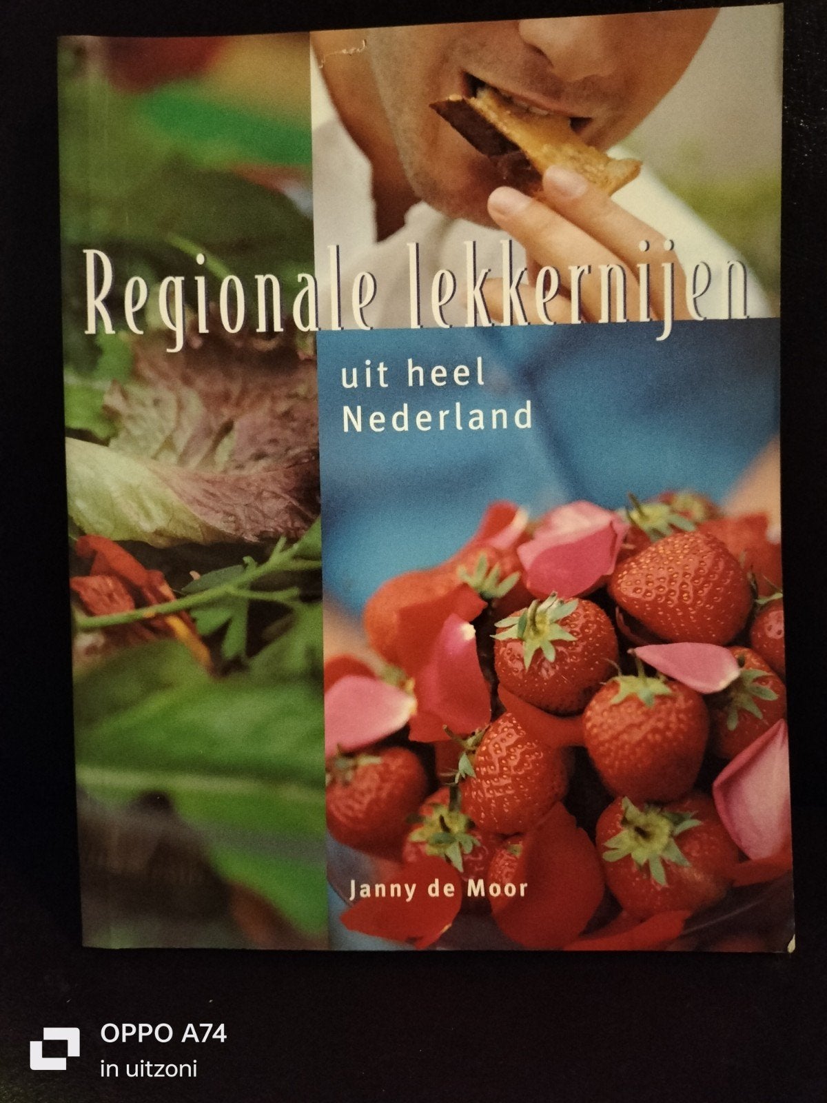 Regionale lekkernijen uit heel Nederland - Janny de Moor, Ophalen of Verzenden, Zo goed als nieuw