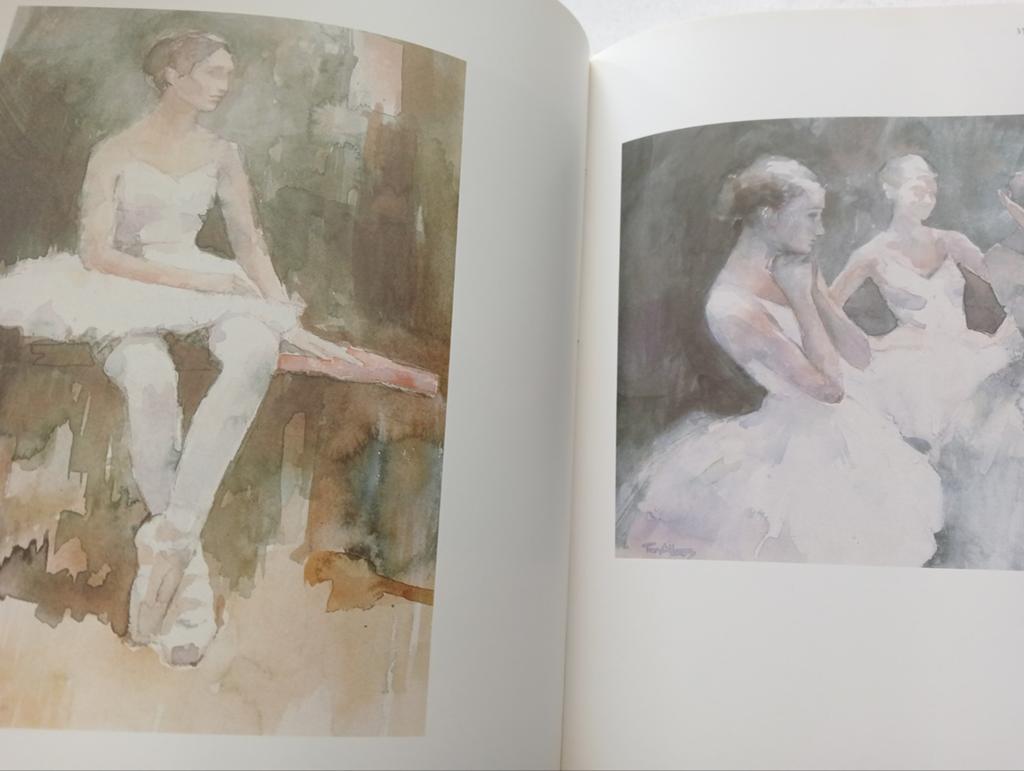 Ton Albers Aquarellen - Kunstboek, Gelezen, Ton Albers, Ophalen of Verzenden, Schilder- en Tekenkunst