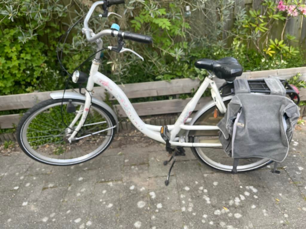 Mammafiets, Ophalen, Zo goed als nieuw, Overige merken