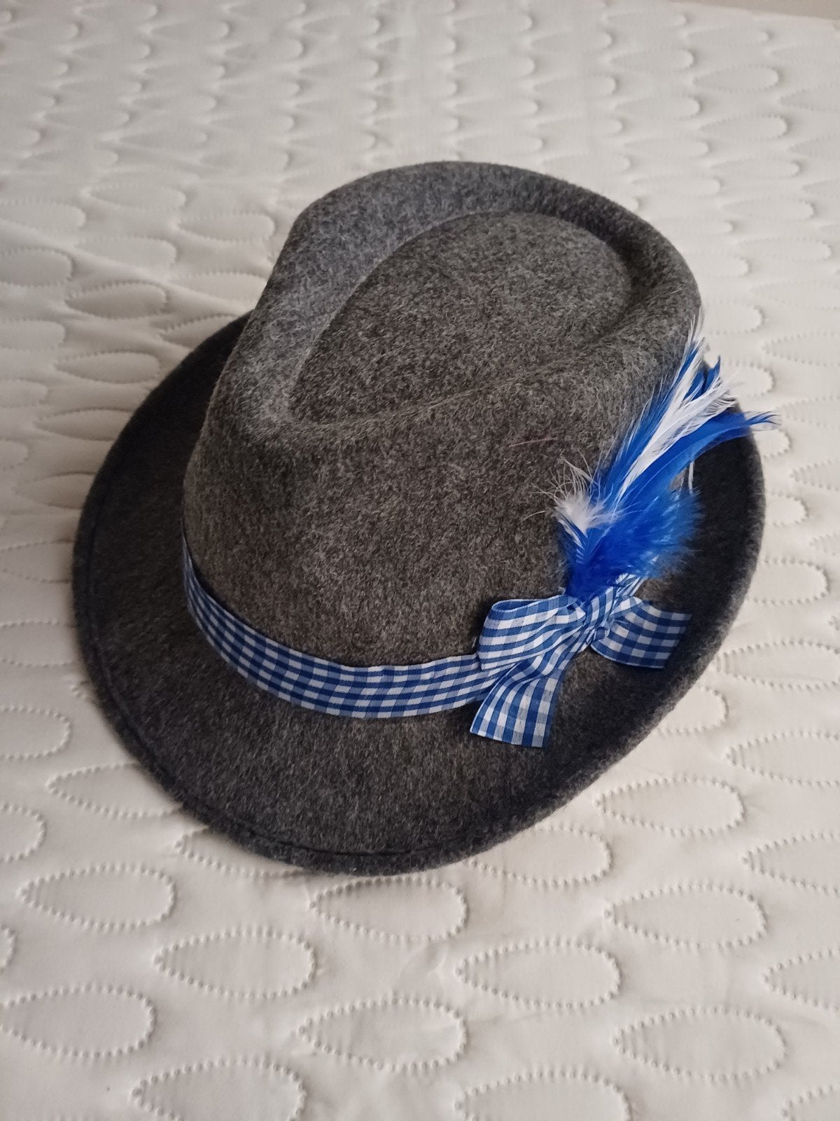 Grijze Tiroler Hoed met Blauw-Wit Geruit Lint en Veer NIEUW!, Kleding | Dames, Hoeden en Petten, Ophalen, Boland, Hoed, One size fits all
