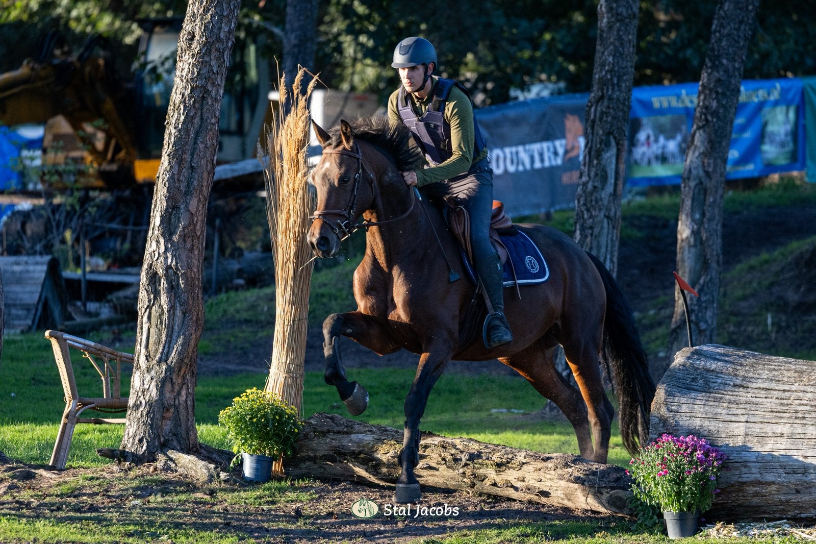 Talentvolle merrie 💗, Dieren en Toebehoren, Merrie, Met stamboom, B, Dressuurpaard