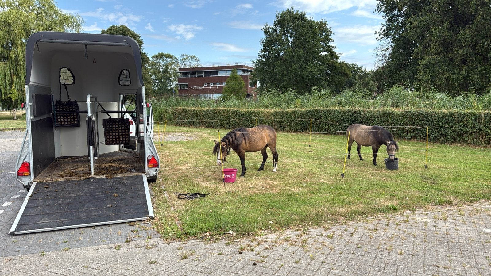 Leukste pony zoekt verzorger (17+) in Laren, Ophalen, Zo goed als nieuw, Overige disciplines