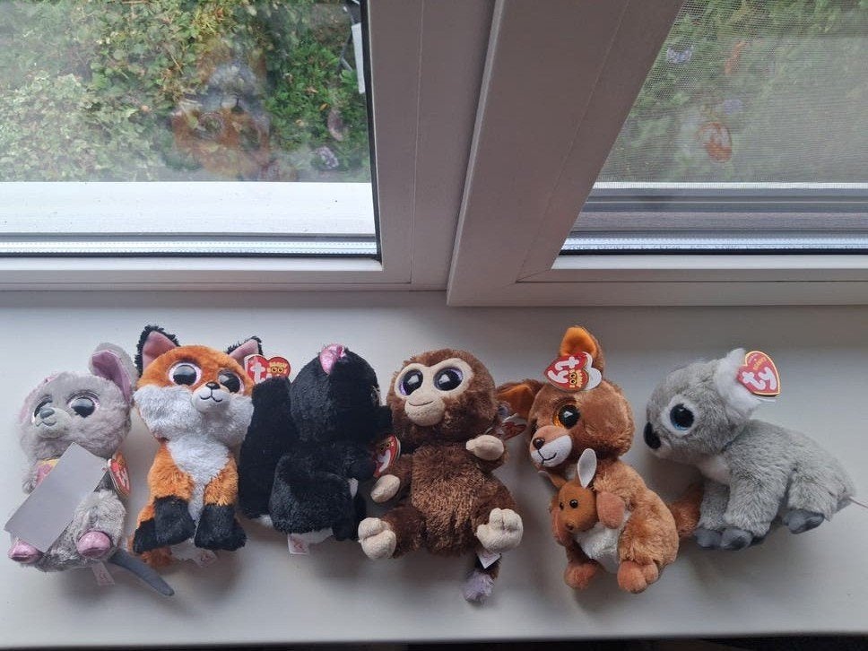 Ty Beanie Boo's knuffels - Diverse dieren, Grijs, Ophalen of Verzenden, Klein (minder dan 20 cm), Met label