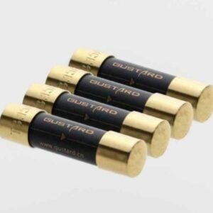 GUSTARD Nano Legering High-End Zekering, Audio, Tv en Foto, Ophalen of Verzenden, Nieuw, 2 tot 5 meter