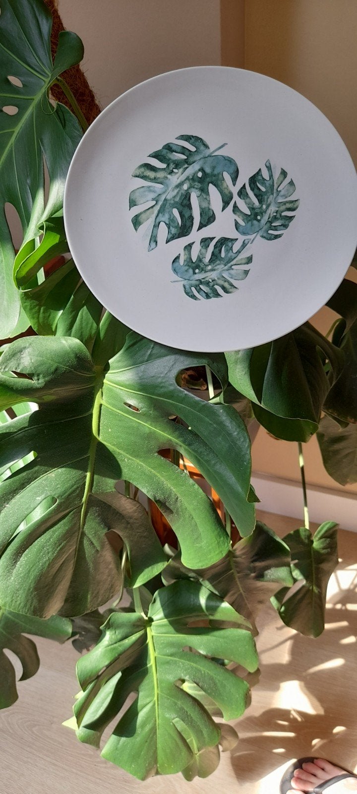 wandbordjes palm en blad, Ophalen, Zo goed als nieuw