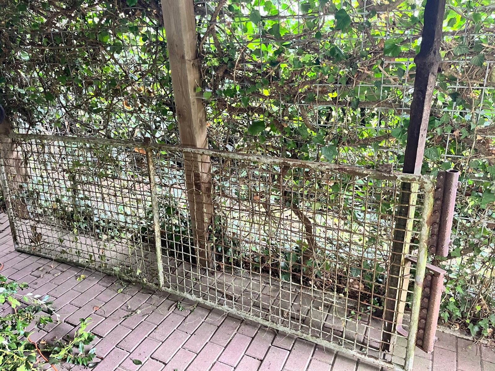 Weidehek met paal en schanier - Opknapper, Ophalen, Met poort, Gebruikt, Overige typen