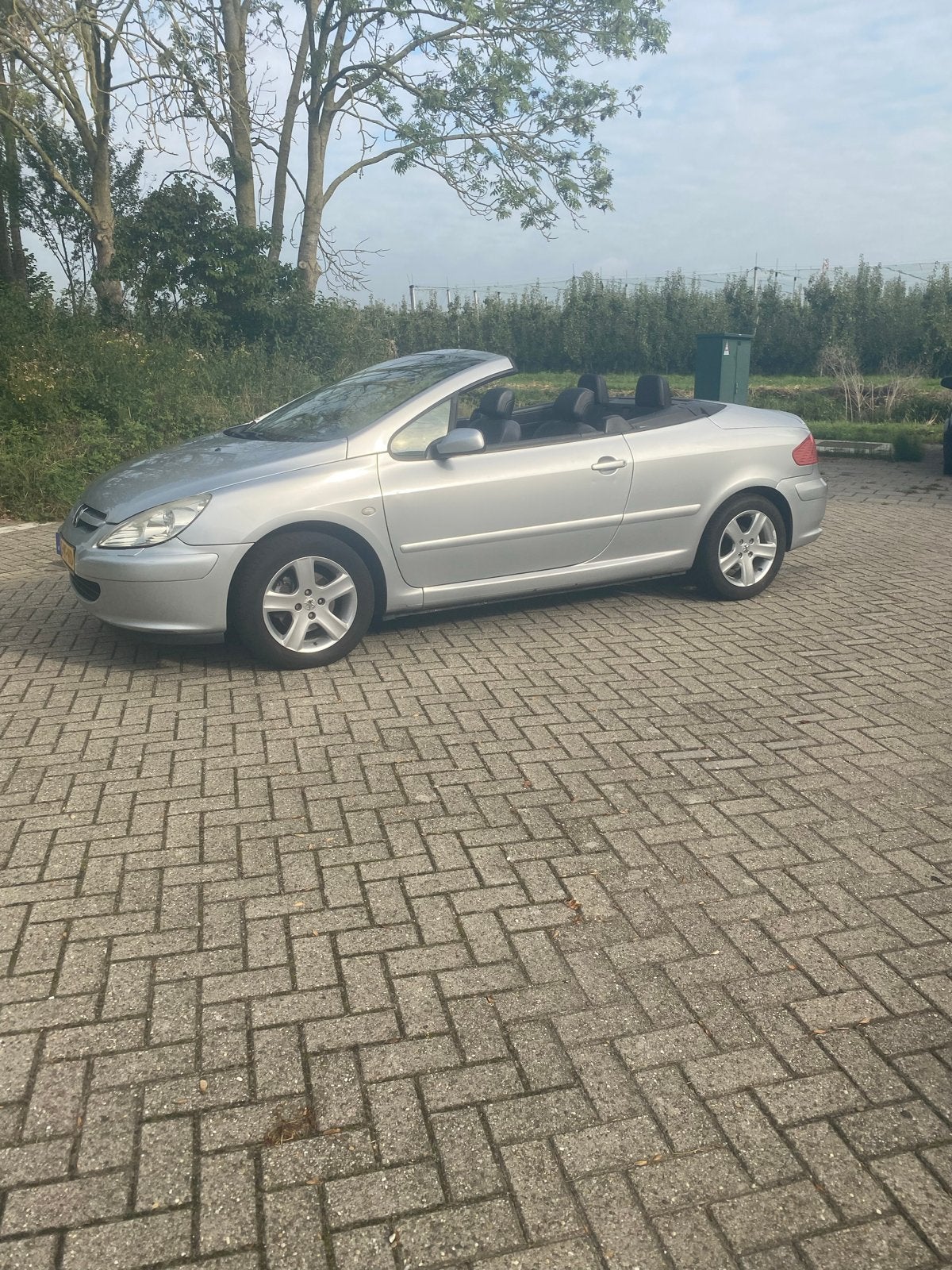 Peugeot 307 2.0 16V CC AUT 2004 Grijs, Auto's, Open dak, Zwart, 4 cilinders, Cabriolet