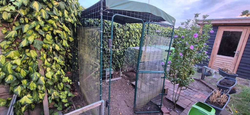 Eglu cube met inloopren, Dieren en Toebehoren, Pluimvee | Toebehoren, Ophalen, Gebruikt, Kippenhok of Kippenren