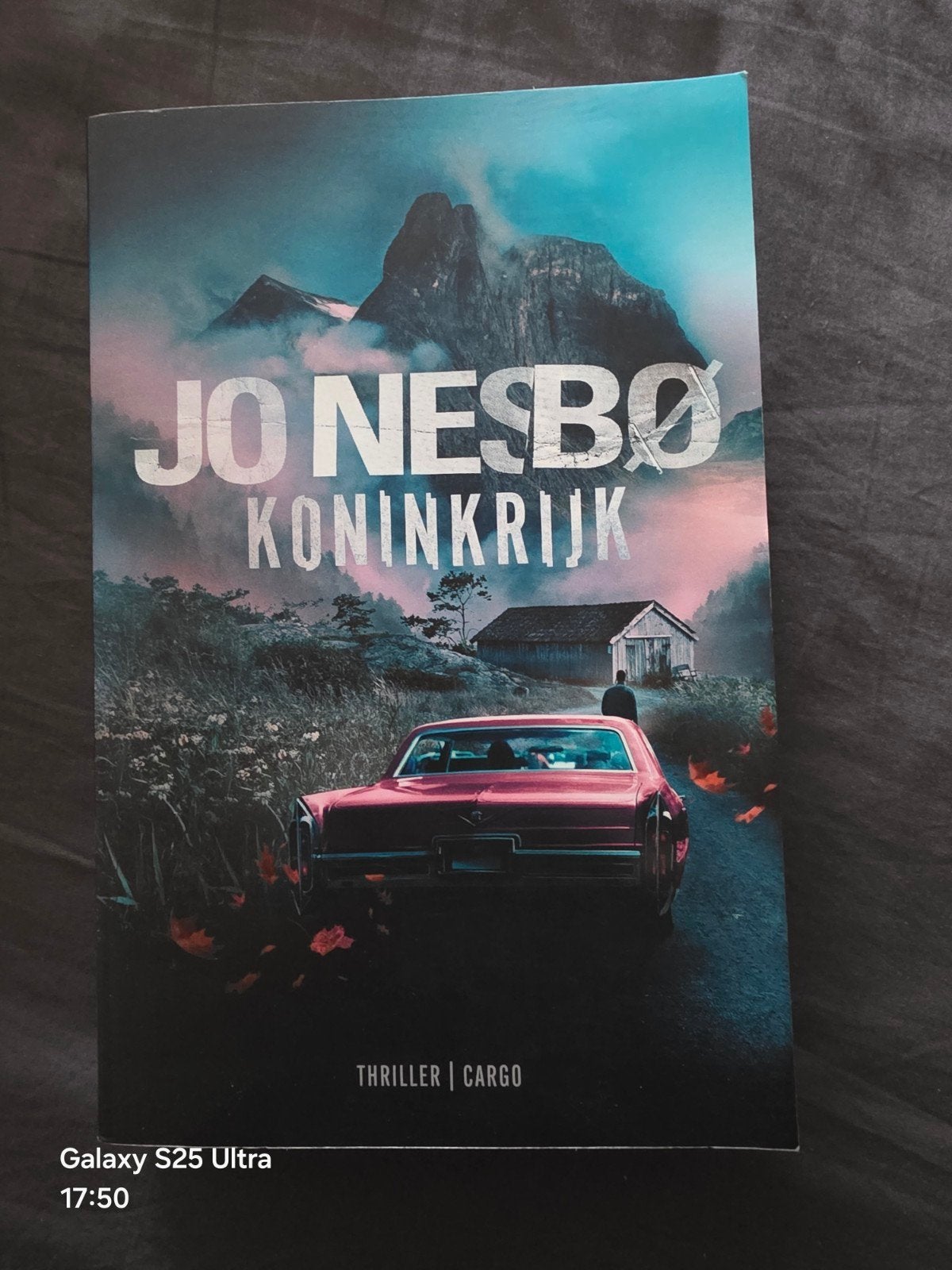 Jo Nesbø - Koninkrijk (Thriller), Boeken, Thrillers, Ophalen of Verzenden, Zo goed als nieuw, Jo Nesbø, Scandinavië