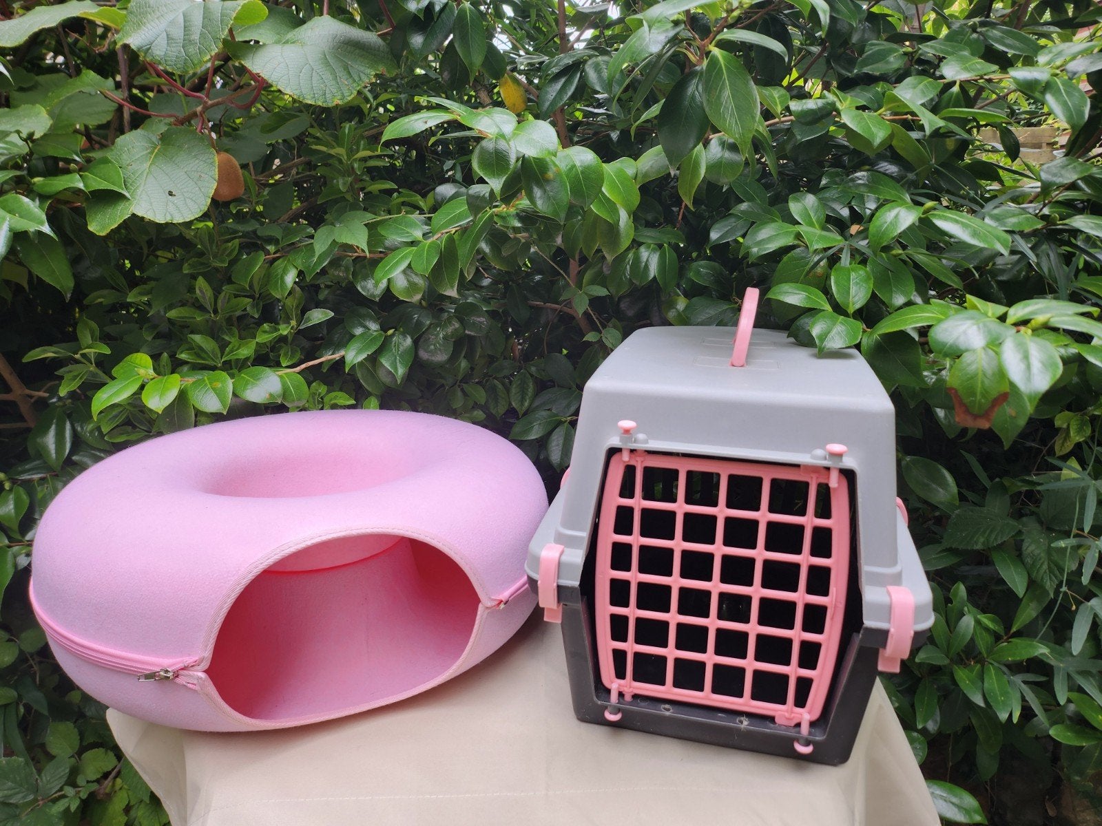 Roze Reismand Pet Carrier en Donut Pink Basket, Ophalen of Verzenden, Zo goed als nieuw