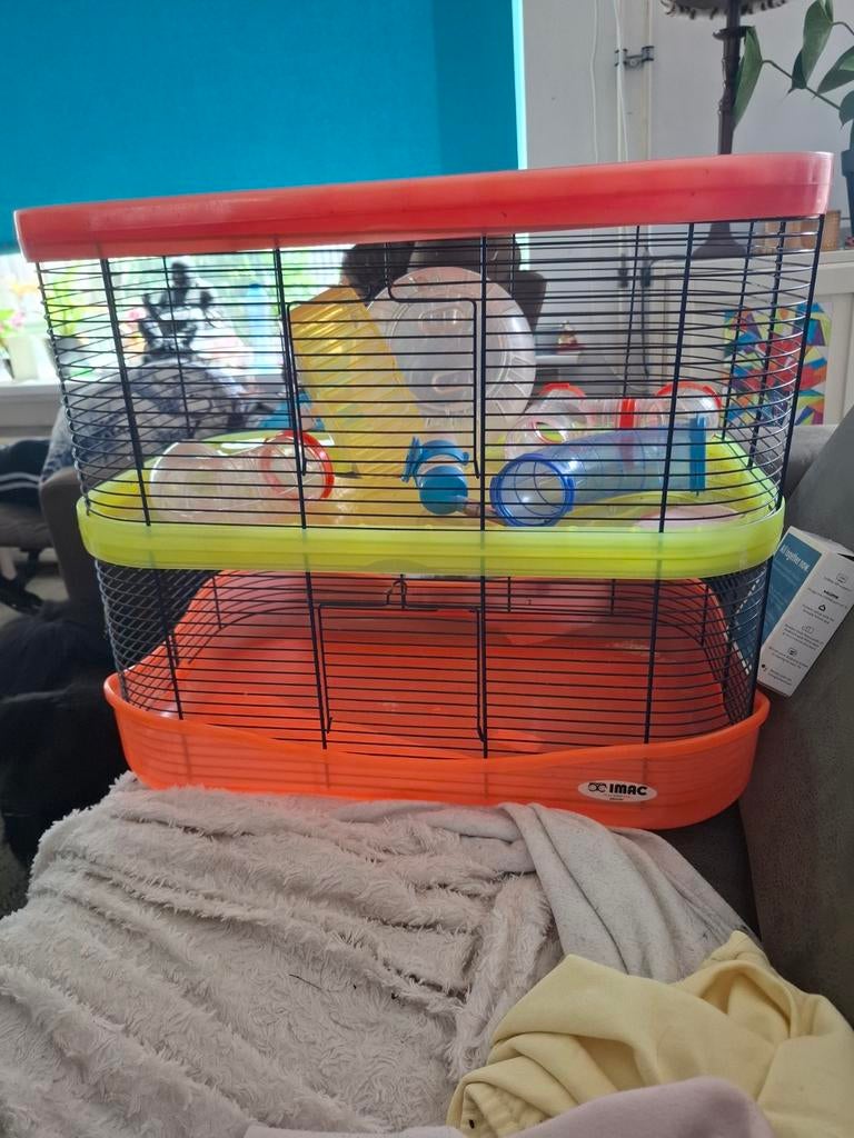 Hamsterkooi, Ophalen of Verzenden, Minder dan 75 cm, Kooi, Minder dan 60 cm