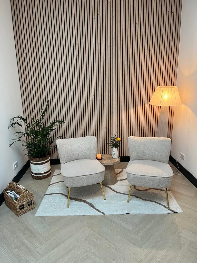 Complete set: Twee stoelen + vloerkleed, Huis en Inrichting, Stoelen, Ophalen, Twee, Overige kleuren, Zo goed als nieuw