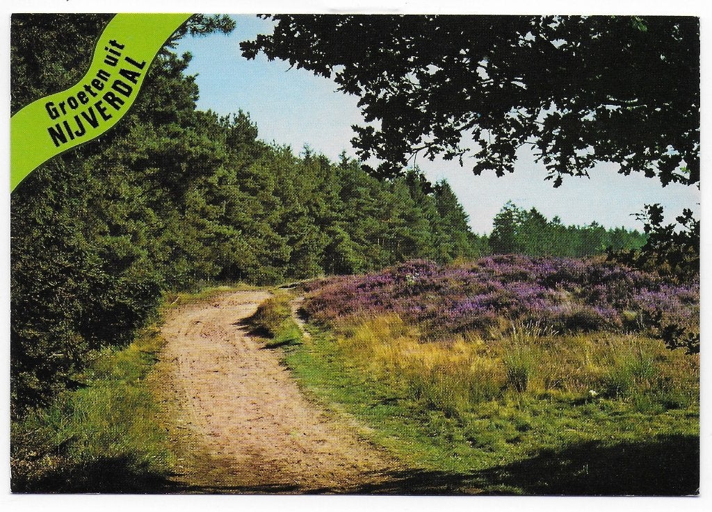 Nijverdal Gelopen Ansichtkaart ( B5905 ), Ophalen of Verzenden, 1980 tot heden, Gelopen