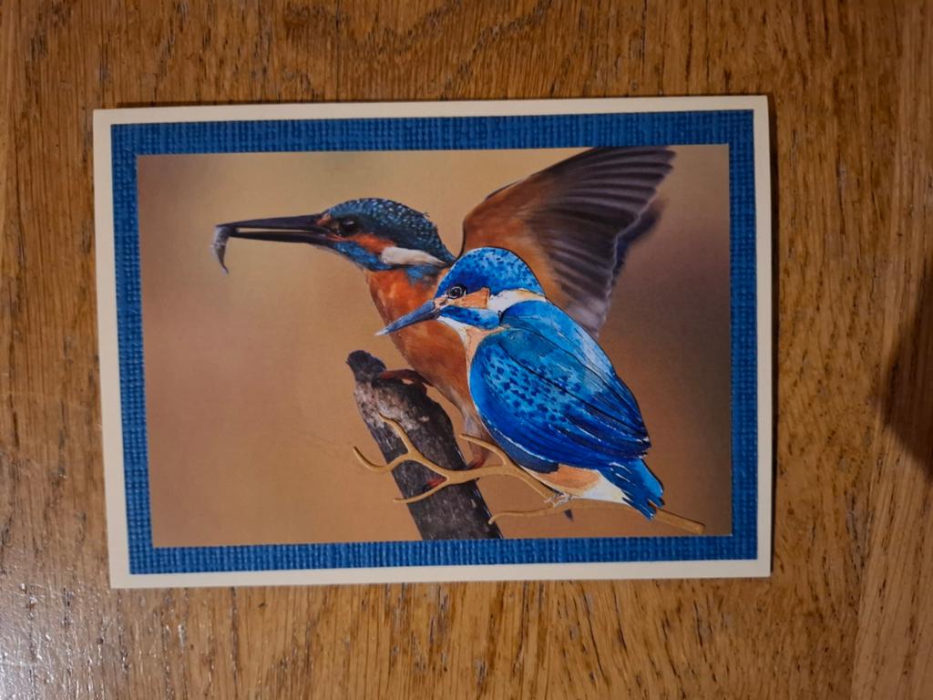 Zelfgemaakte kaart met ijsvogels, Ophalen of Verzenden, Nieuw