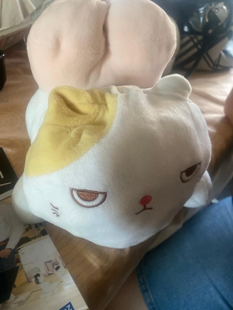MINISO Kat Knuffel - 35cm - Zo goed als nieuw, Overige merken, Overige karakters, Ophalen of Verzenden, Wit