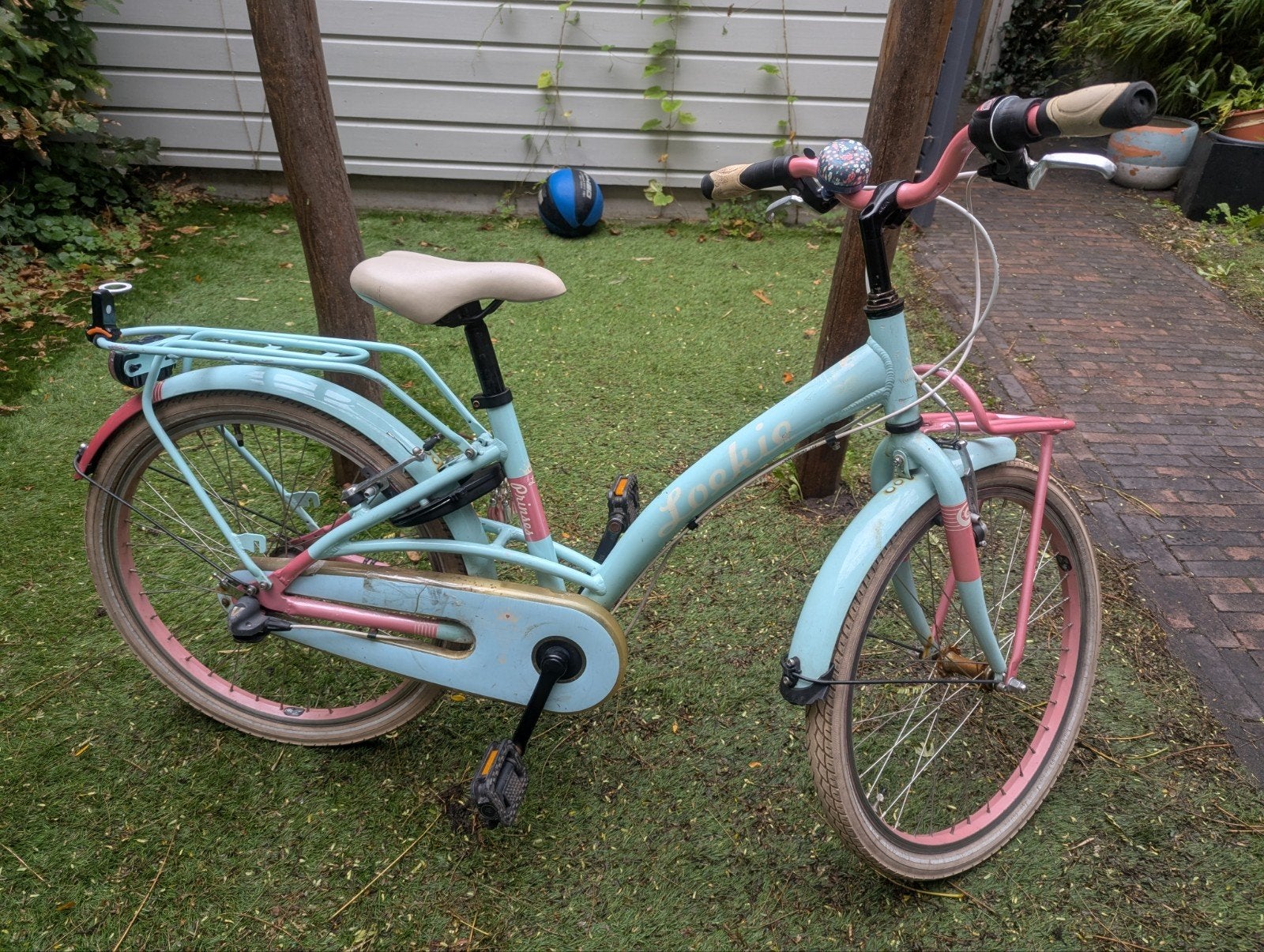 Kinderfiets Loekie Prinses 22 inch, Ophalen, 22 inch, Gebruikt, Prinses
