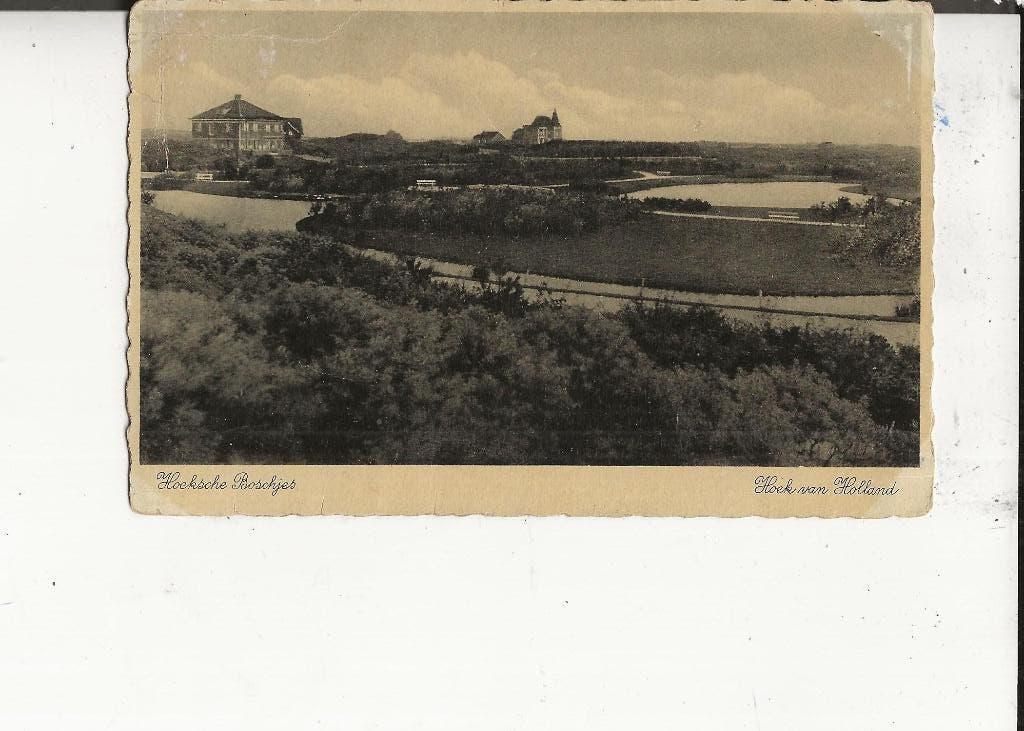 Hoek van Holland Hoeksche Boschjes met plas, Ophalen of Verzenden, Gelopen, Zuid-Holland