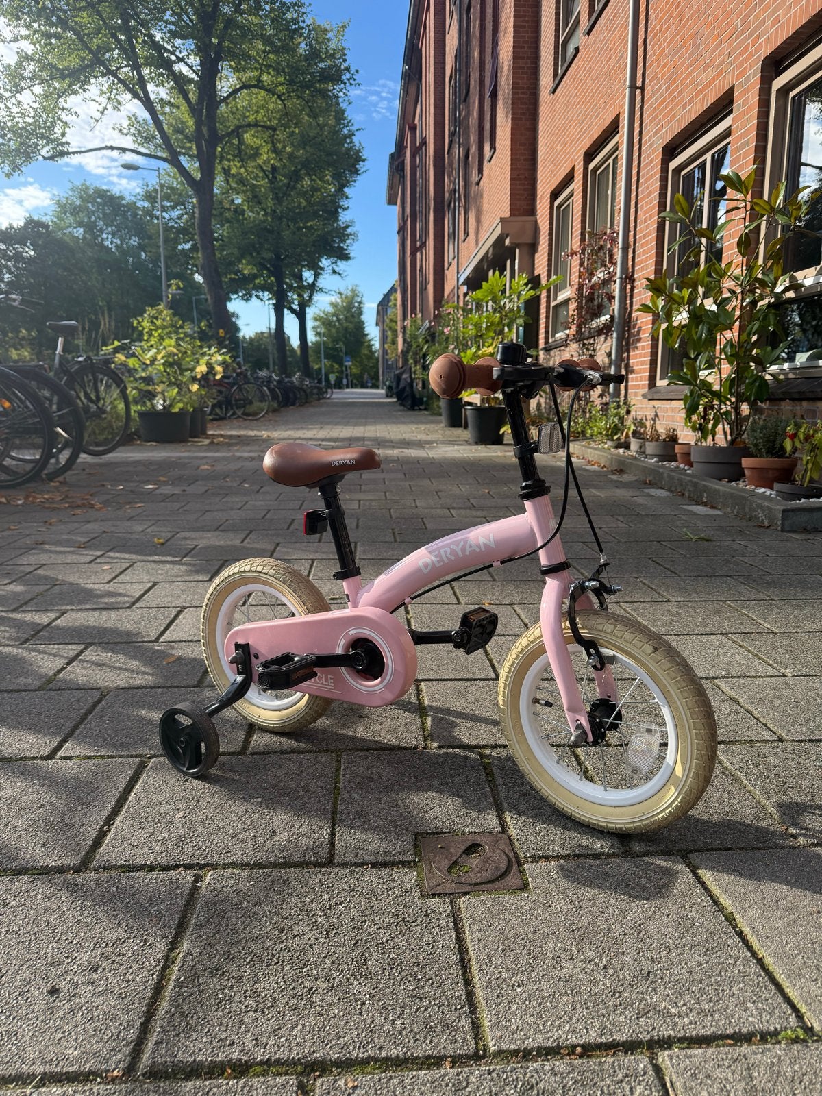 Deryan 3-in-1 kinderfiets 12”, Ophalen, Zijwieltjes, Velgrem, Minder dan 16 inch