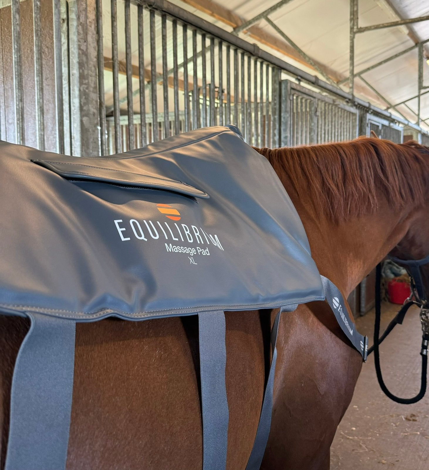 Equilibrium massage pad aan stal/huis, Ophalen, Zo goed als nieuw